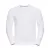 Mens-HD-Raglan-Sweat