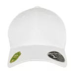 110-Organic-Cap
