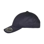 110-Organic-Cap