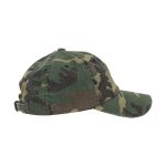 Low-Profile-Camo-Washed-Cap