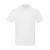 Inspire-Polo-men