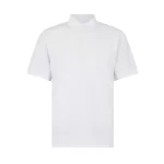 Regular-Fit-Superwash-60-Jersey-Polo