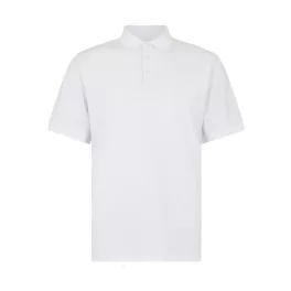 Regular-Fit-Superwash-60-Jersey-Polo