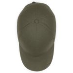 Organic-Cotton-6-Panel-Cap