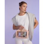 Boutique-Clear-Travel-Case