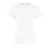 JT100F-THE-100-NOI-POLO