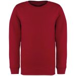 NS403-KORNYEZETBARATKORNYAKAS-GYERMEKPULOVER