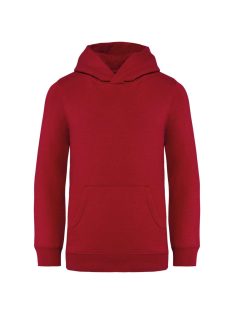 NS404-KIDS-HOODED-SWEATSHIRT